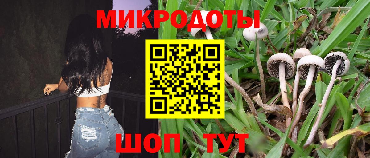 Галлюциногенные грибы Psilocybe Самара