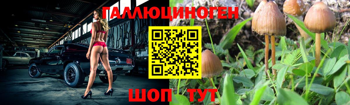 Псилоцибиновые грибы Psilocybine cubensis  Вход с VPN  Самара 